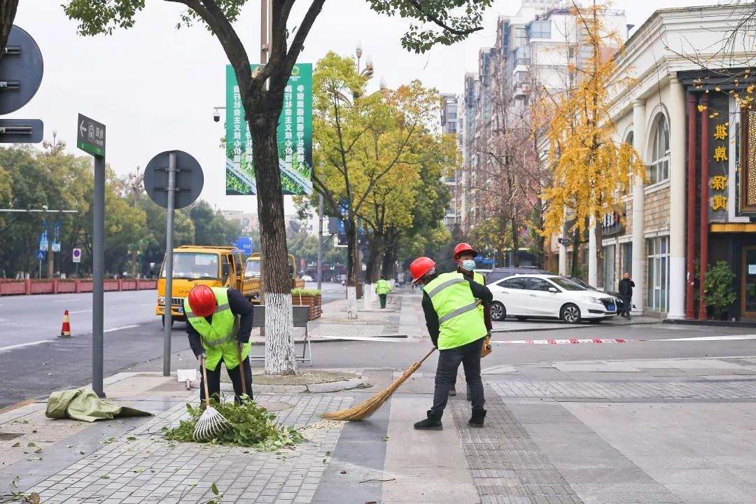 园林绿化养护清理树枝